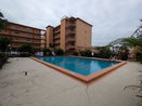 miamire/3841efdb2a124aeb09cb7014e360b7d4.jpg?width=131&height=105&format3=webp