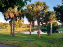 miamire/39ce2fbabee7201cbba88f9b66ca7b0d.jpg?width=131&height=105&format3=webp
