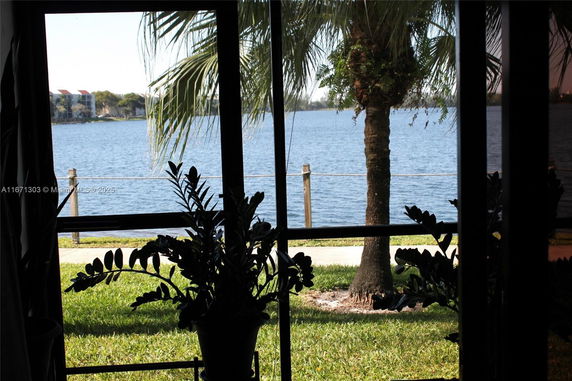 View of a lake and palm tree seen through a window from inside a building.