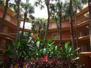 miamire/3b5c2a9f1858992a3338afaaf3de5175.jpg?width=131&height=105&format3=webp