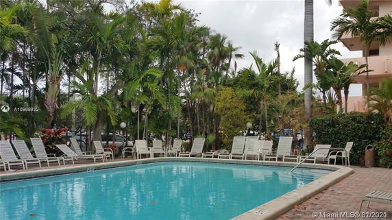 Outdoor swimming pool area with lounge chairs and surrounding palm trees.