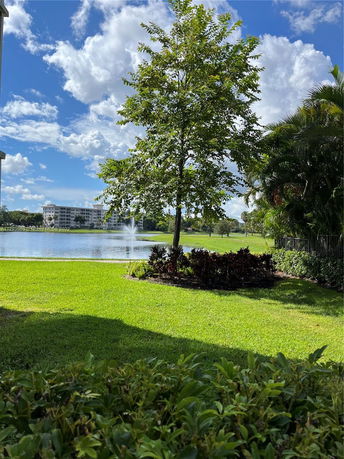 View of a tree and a fountain with buildings in the background.