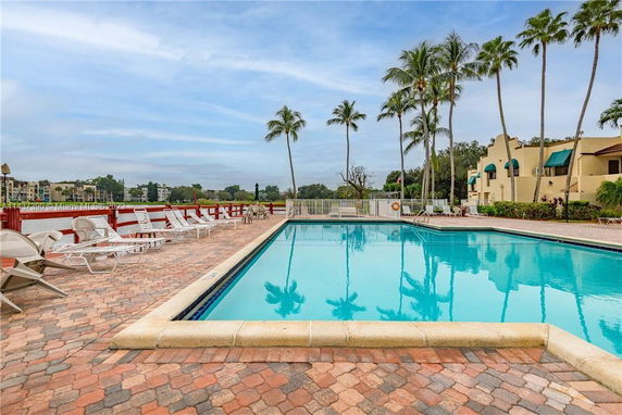Outdoor swimming pool with lounge chairs and palm trees surrounding the area.