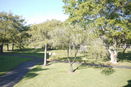 miamire/3e376bb1ec3d7014ed6f78b6f611980a.jpg?width=131&height=105&format3=webp