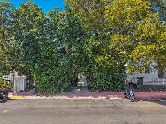 Front view of a house obscured by large trees and foliage