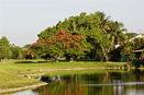 miamire/3ee4af0c703dd30465fa67d521a42f59.jpg?width=131&height=105&format3=webp