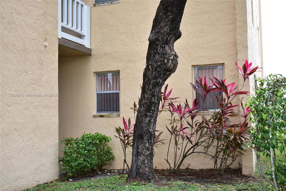 Partial view of a building exterior with windows and nearby vegetation.