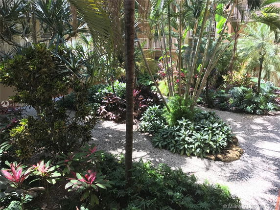 View of a landscaped garden with various tropical plants and trees.