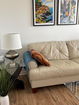 miamire/3feef7074c11a235fb4eda04bc35180f.jpg?width=131&height=105&format3=webp