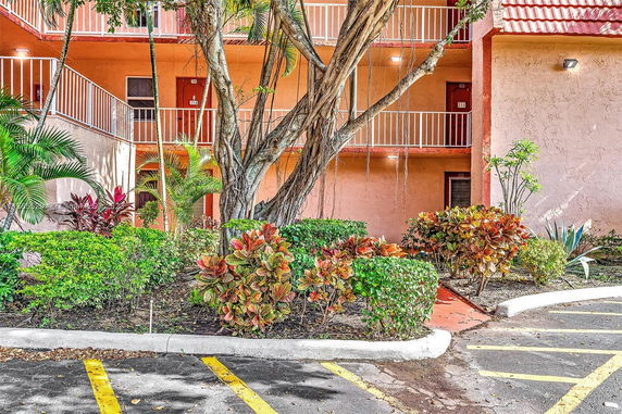 Exterior view of a building with a tree and surrounding plants.