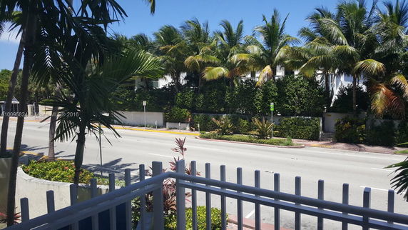 View of a street lined with palm trees and hedges.