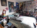 miamire/410c1ca7562fc6d739e7c549d8490cab.jpg?width=131&height=105&format3=webp