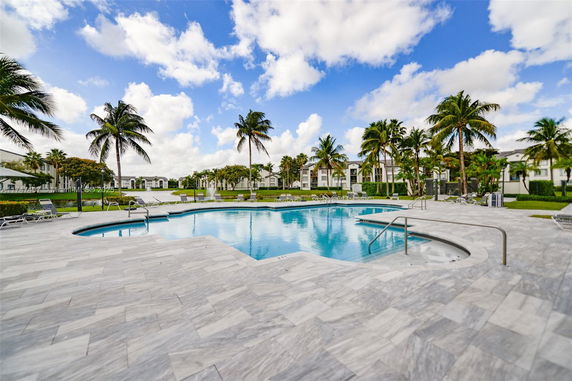 Outdoor swimming pool area with surrounding palm trees and lounge chairs.