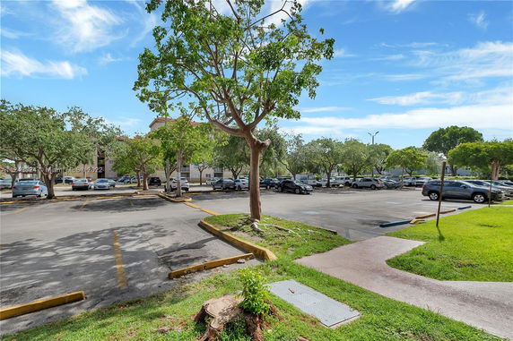 Outdoor parking area with multiple parked cars and surrounding trees.