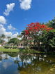 miamire/41d5c550d95cc2480e2a5222192f4101.jpg?width=131&height=105&format3=webp