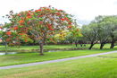 miamire/4221627306759f89ac0cf2f4ef416d70.jpg?width=131&height=105&format3=webp