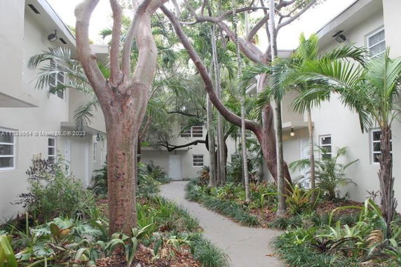 View of surrounding areas seen from between two buildings with trees and plants lining the path.