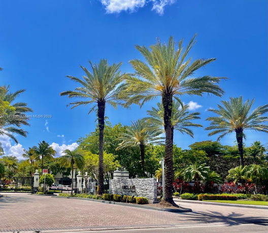 Outdoor view with several tall palm trees and a gated entrance.