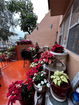 miamire/42887ccab937b6b16ebc16e03190b01a.jpg?width=131&height=105&format3=webp