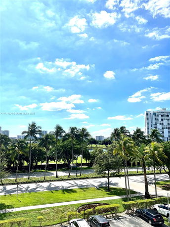 View from a building showing palm trees, a road, parked cars, and distant high-rise buildings.