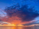 miamire/42d1c6c55bc8f59c918b04c10506cd21.jpg?width=131&height=105&format3=webp