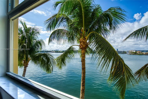 View of water and palm trees seen from a window.