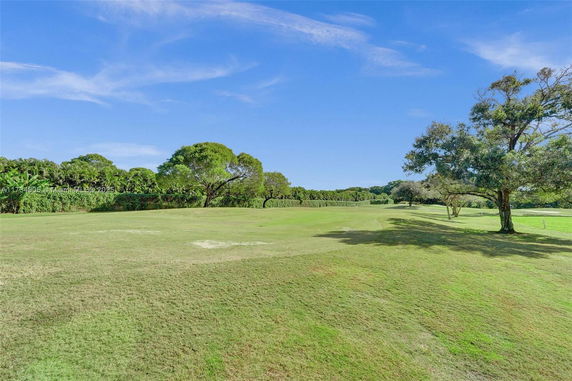 Wide grassy area with scattered trees under a clear blue sky.