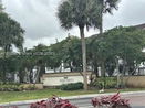 miamire/452e7d7a1c475c92cbb4ded5815e324a.jpg?width=131&height=105&format3=webp