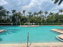 miamire/45895a418a1a09f76c21c0441555c05b.jpg?width=131&height=105&format3=webp