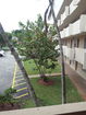 miamire/46ee3807e45c4e009e7cb3c9659fa178.jpg?width=131&height=105&format3=webp