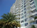 miamire/46f89c966a7e1216280c895d9f450dc5.jpg?width=131&height=105&format3=webp