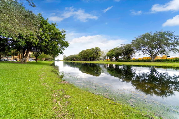 View of a river with green grass and trees along its banks.