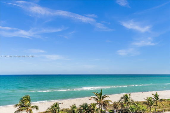 View of a beach with palm trees and ocean under a clear blue sky.
