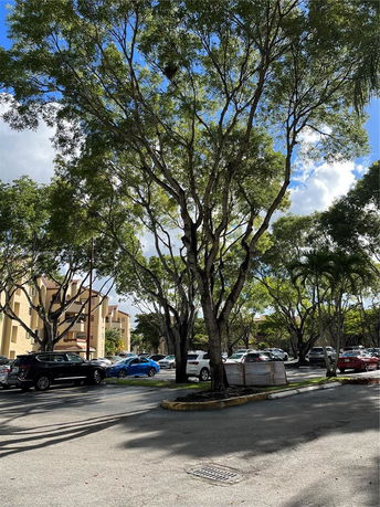 Outdoor parking lot with multiple cars and surrounding trees.