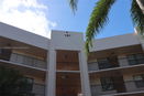 miamire/478cbad0528b336c94f2b0d0ecdd11f8.jpg?width=131&height=105&format3=webp