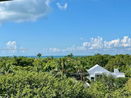 miamire/480aeecc1430f1c7eee78e48abae37a9.jpg?width=131&height=105&format3=webp