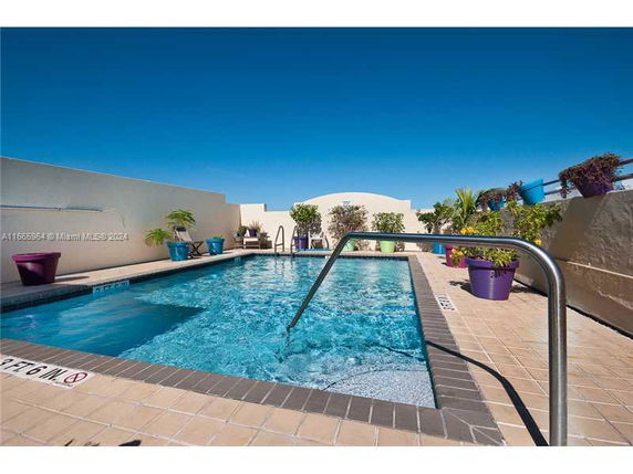 Rooftop swimming pool with surrounding plants and clear blue sky.