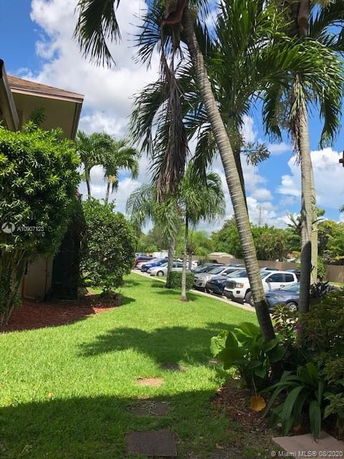 Outdoor parking area with several cars next to a building and palm trees.