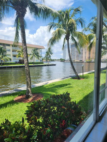 View from a window showing a waterfront area with palm trees and apartment buildings in the background.