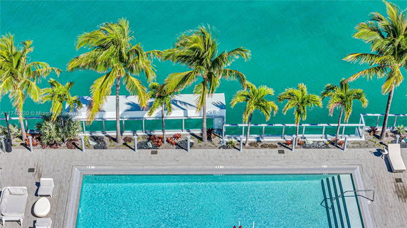 View of a swimming pool with palm trees and a water body in the background.