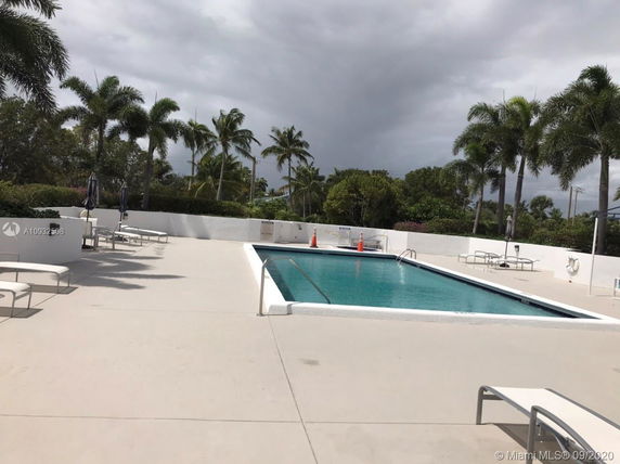 Rooftop area with a swimming pool surrounded by lounge chairs and palm trees.