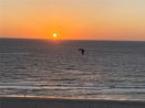 miamire/4a9ee9c3c4873353cbc4025da3551170.jpg?width=131&height=105&format3=webp