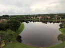 miamire/4af16a3c32b28307b47e4f1989b9ad10.jpg?width=131&height=105&format3=webp