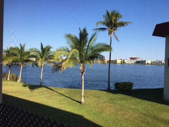 View of palm trees and a lake from the building.