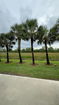 miamire/4c2b89256b77f907851f9be892594dda.jpg?width=131&height=105&format3=webp