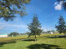 miamire/4ced7fc2c2f93d9266d71c1c1c1d51d2.jpg?width=131&height=105&format3=webp