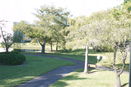 miamire/4d196afd90df55bdcecba2ed6e1f512b.jpg?width=131&height=105&format3=webp