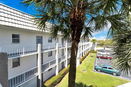 miamire/4d45d41b172ba7c5a0fe6ee48e8359ed.jpg?width=131&height=105&format3=webp