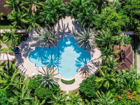 Aerial view of a swimming pool surrounded by palm trees and greenery.