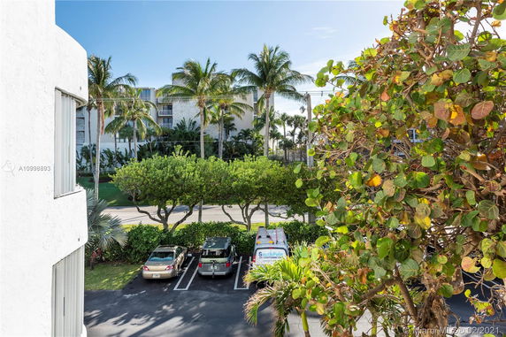 View from a building showing a parking area with cars and a tree-lined street with palm trees.